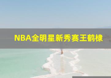 NBA全明星新秀赛王鹤棣