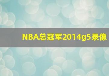 NBA总冠军2014g5录像