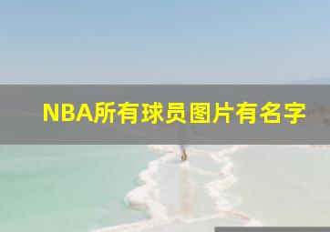 NBA所有球员图片有名字