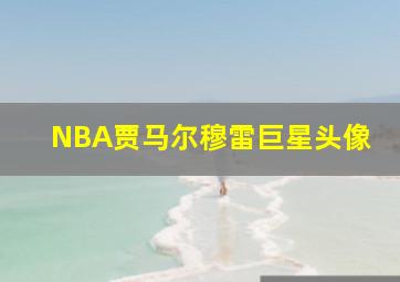 NBA贾马尔穆雷巨星头像