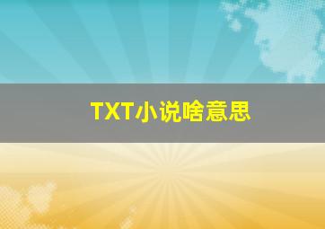 TXT小说啥意思