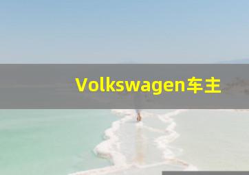 Volkswagen车主