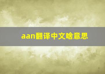 aan翻译中文啥意思