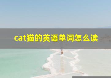 cat猫的英语单词怎么读