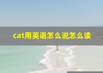 cat用英语怎么说怎么读