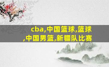 cba,中国篮球,篮球,中国男篮,新疆队比赛