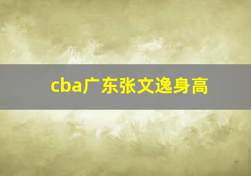 cba广东张文逸身高