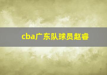 cba广东队球员赵睿