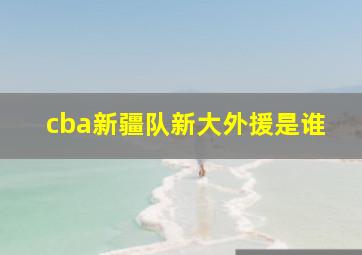 cba新疆队新大外援是谁