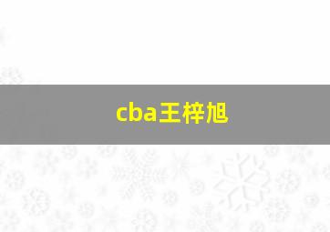 cba王梓旭