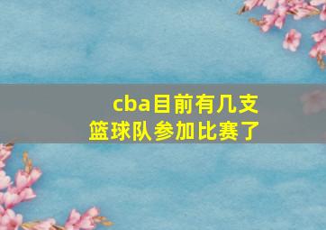 cba目前有几支篮球队参加比赛了