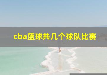 cba篮球共几个球队比赛