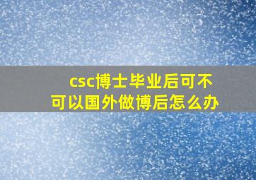 csc博士毕业后可不可以国外做博后怎么办