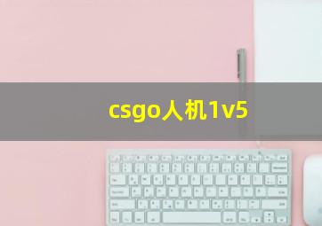 csgo人机1v5