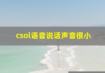 csol语音说话声音很小