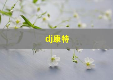 dj康特