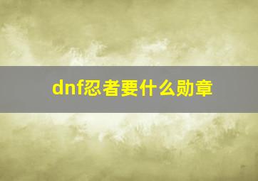 dnf忍者要什么勋章