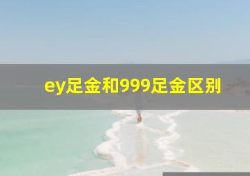 ey足金和999足金区别