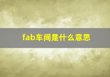 fab车间是什么意思