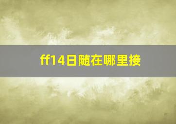 ff14日随在哪里接