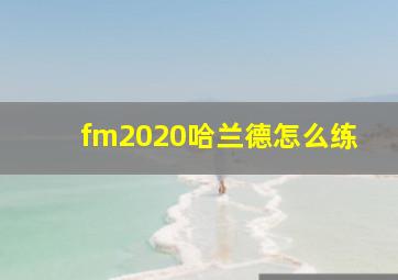 fm2020哈兰德怎么练