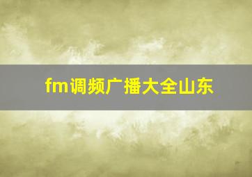 fm调频广播大全山东