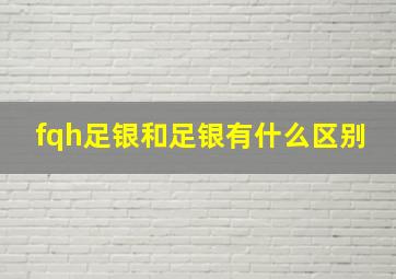 fqh足银和足银有什么区别