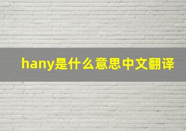 hany是什么意思中文翻译