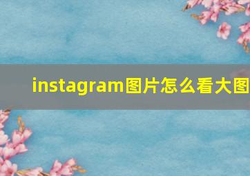 instagram图片怎么看大图