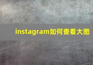 instagram如何查看大图