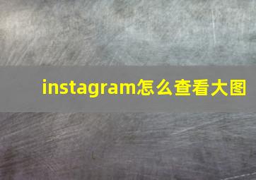 instagram怎么查看大图