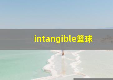 intangible篮球