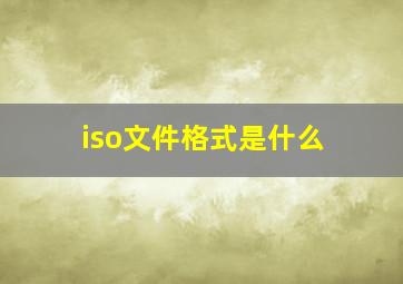 iso文件格式是什么