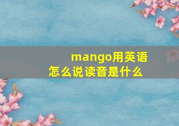 mango用英语怎么说读音是什么