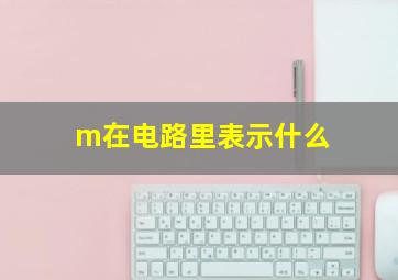 m在电路里表示什么