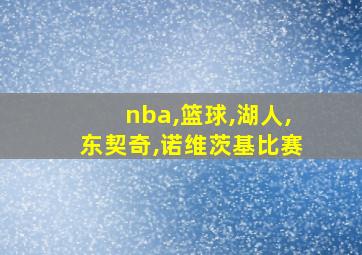 nba,篮球,湖人,东契奇,诺维茨基比赛