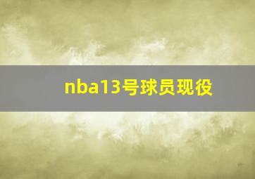 nba13号球员现役