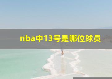 nba中13号是哪位球员