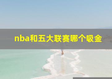 nba和五大联赛哪个吸金