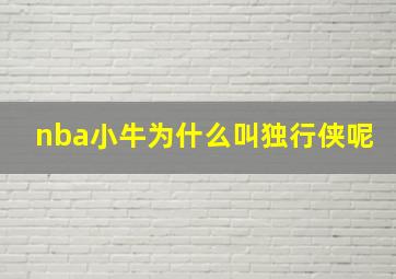 nba小牛为什么叫独行侠呢