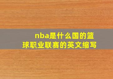 nba是什么国的篮球职业联赛的英文缩写