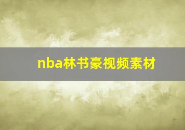 nba林书豪视频素材