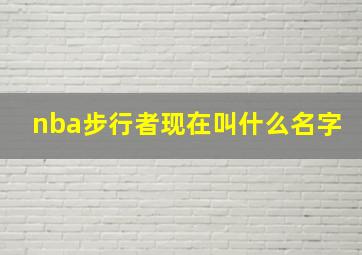 nba步行者现在叫什么名字