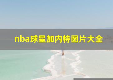 nba球星加内特图片大全