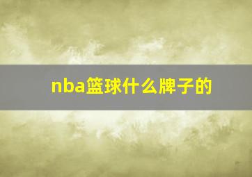 nba篮球什么牌子的