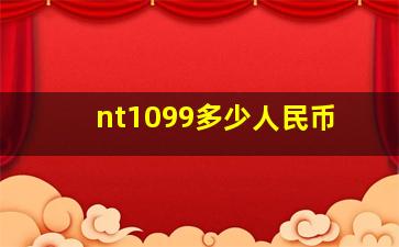 nt1099多少人民币