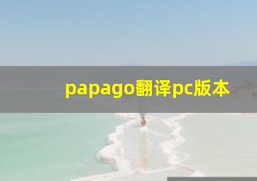 papago翻译pc版本