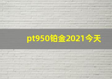 pt950铂金2021今天