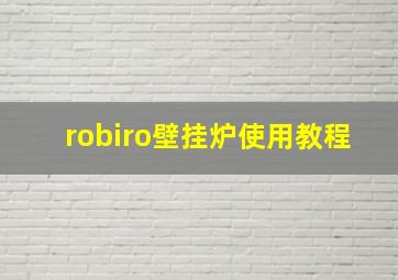 robiro壁挂炉使用教程