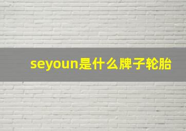 seyoun是什么牌子轮胎